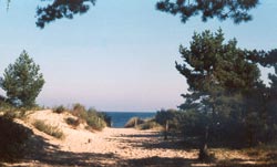 Zeuke Zinnowitz